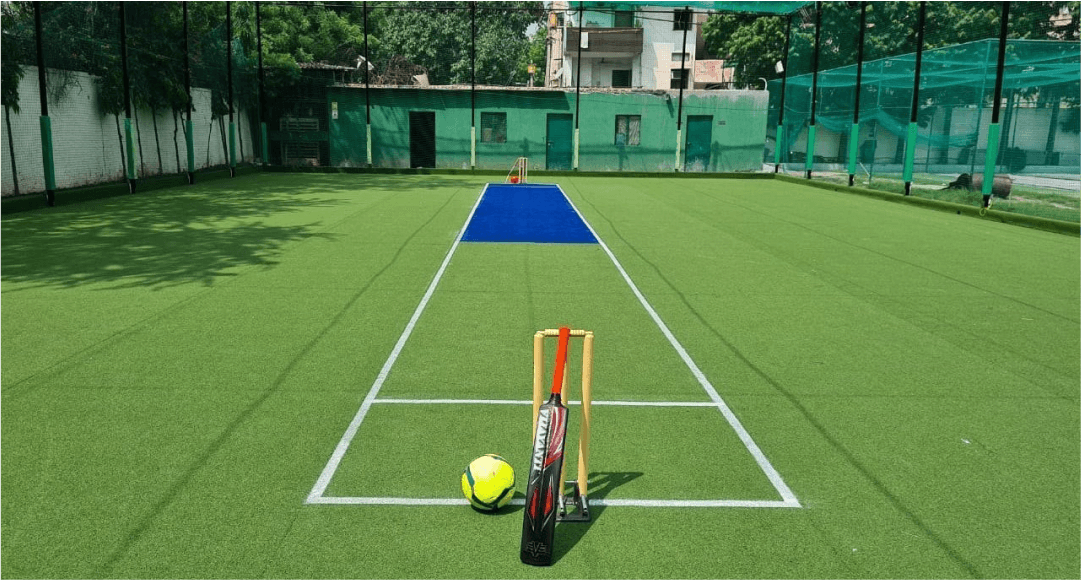 Cricket Pitch